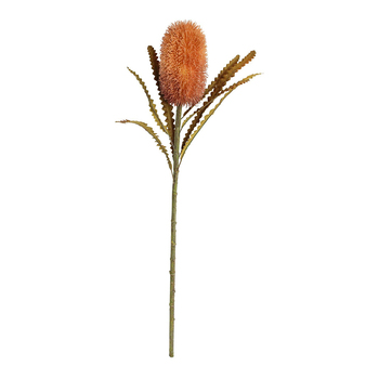 LVD Stemmed 60cm Banksia Amber Artificial/Fake Flower Plant