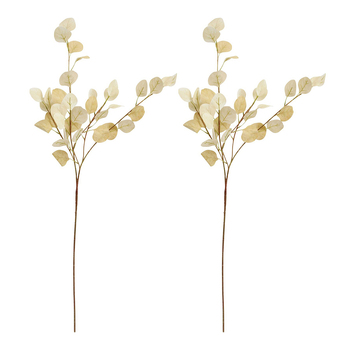 2PK LVD Stemmed 94cm Silver Dollar Artificial Plant - Natural