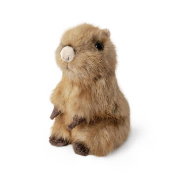 Living Nature Sitting Capybara Pup Plush Toy 16cm Kids 0y+