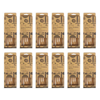 60pc Topchef Re-Usable Glass Drinking Angled Straws & Brush - Clear