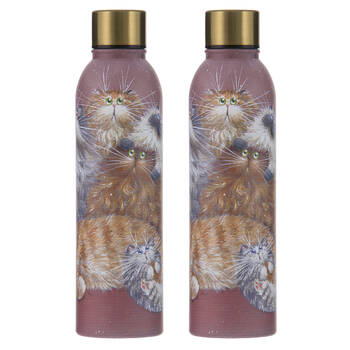 2x Ashdene Kim's Cats Friends Family Drink Bottle Water Flask 6.8x24.5cm