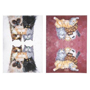 2pc Ashdene Kim's Cats Fluffy Friends Kitchen Towel Dishcloth 70x50cm