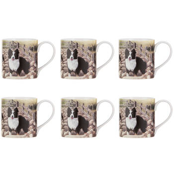 6PK Ashdene Working Dogs Sheep Yard New Bone China Coffee Tea Drinking Mug 380ml