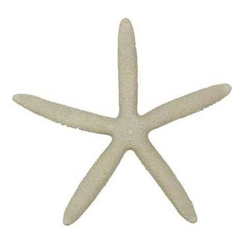 LVD Resin 13cm Starfish Sculpture Figurine Display Decor - Cream