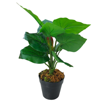LVD 34cm Faux Tropicana Plant