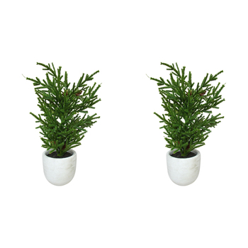 2PK LVD 11x11cm Plastic Classic Christmas Tree Potted Home Decor