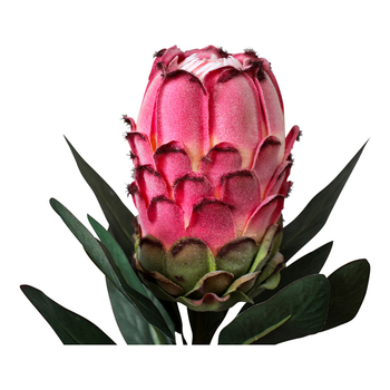LVD Faux 75cm Stem Protea Artificial Fake Flower - Pink