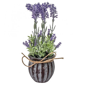 LVD Lavender Ribb Pot