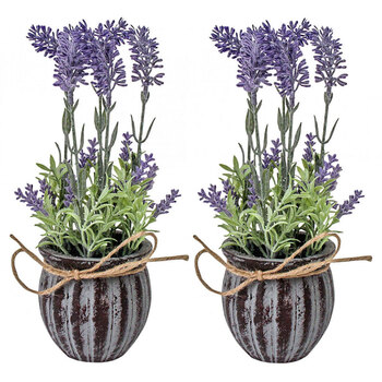 2PK Lavender Ribb Pot