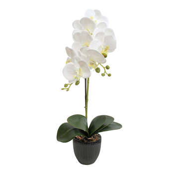 LVD Faux 55cm Orchid Artificial Flower w/ Pot Single - White