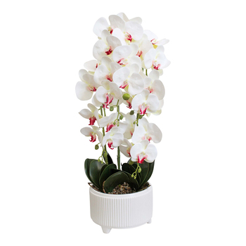 LVD Faux 72cm Orchid Artificial Flower w/ Pot XL - White