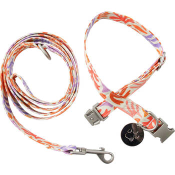 LVD Metal Dog Collar & Lead Leash Set Medium 35-55cm Summer Sunset