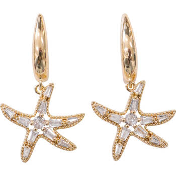 LVD Womens Beachside/Coastal Style Earrings - Starfish