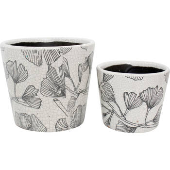 2pc LVD Terracotta Indoor Decorative Planter Pot Set 16x14cm/12x10cm Ginko