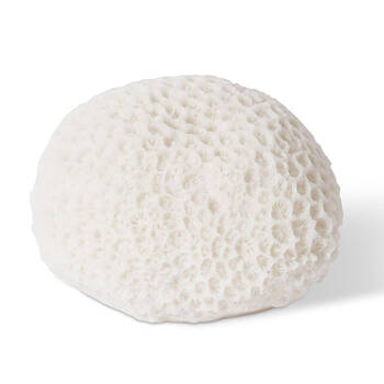 E Style Coral Resin Night Light Starlet 14x13cm - White