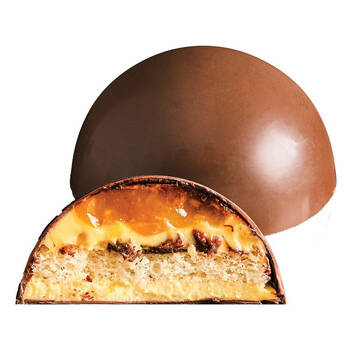 18pc La Rose Milk Chocolate Dome Mango Passionfruit Le-Dome Collection 100g