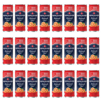 24PK San Pellegrino Aranciata Rossa Sparkling Blood Orange Soft Drink 330ml