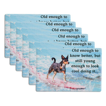 6PK LVD Old Enough Ceramic 6x9cm Rectangle Refrigerator/Fridge Magnet