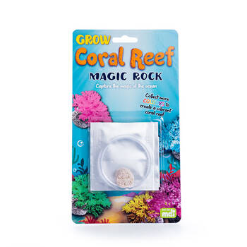 MDI Magic Rock Coral Reef Educational Experiment Kids Toy Kit 8y+