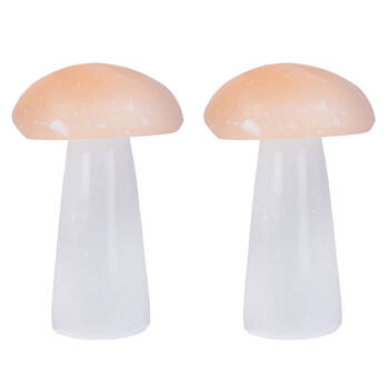 2PK Wishstone Gemstone Soothing Selenite Mushroom Wellness Stone