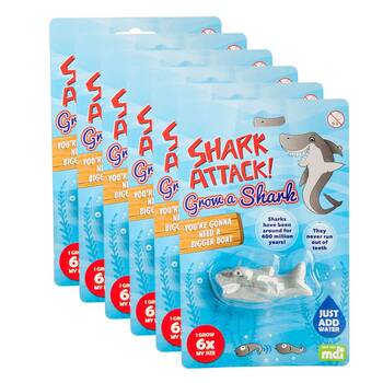6PK Shark Bay Grow a Shark Kids Activity Fun Play Interactive Toy 