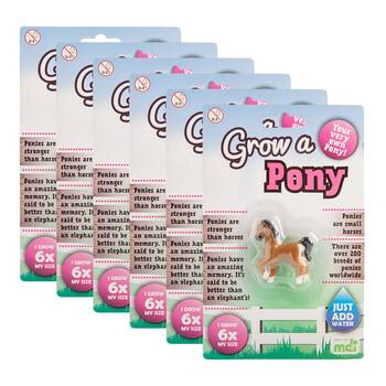 6PK MDI Grow a Pony Kids Activity Fun Play Interactive/Educational Toy 