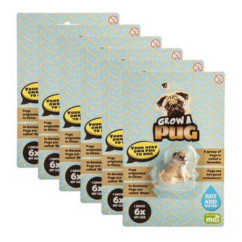 6PK PUG Grow a Pug Kids Activity Fun Play Interactive/Educational Toy 