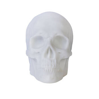 Art + Tech Light Up Speaker Skull LED Music Themed Room Decor 14.8x13.2cm