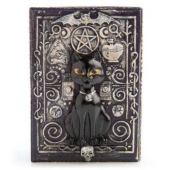 Mystical Worlds Tarot Box Black Cat Jewellery Trinket Storage Home Decor