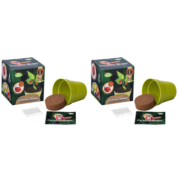 2PK Mrs Green Carolina Reaper Chilli Plant Seeds Grow Kit