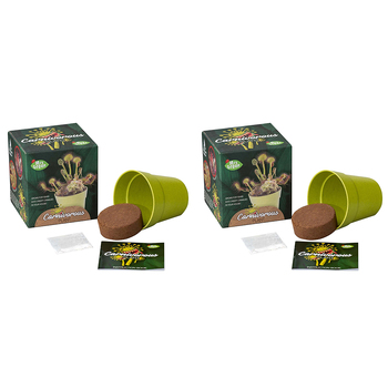 2PK Mrs Green Grow Your Own Carnivorous Plant Kids Growing Kit