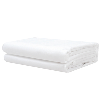 Bambury Single Bed Mite-Guard Quilt Protector Soft Non Woven Home