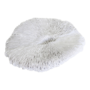 LVD Decorative Polyresin 17cm Mushroom Coral Home Decor - White