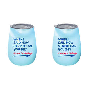 2PK When I Said How Stupid 360ml S/S Vacuum Insulated Tumbler Double Walled Mug