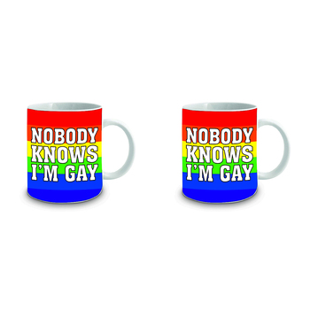 2PK Nobody Knows I Am Gay 360ml Ceramic Coffee/Tea Drink Mug w/ Handle