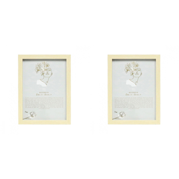 2PK Splosh Mystique Scorpio Glass Framed Print w/ Stand 23.5x32cm