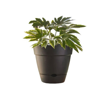 Northcote Pottery Leonard 38x34cm Self Watering Black