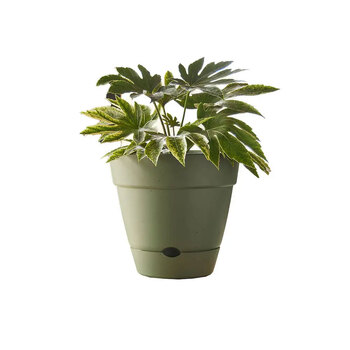 Northcote Pottery Leonard 38x34cm Self Watering Green