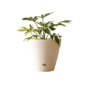 Northcote Pottery Leonard 38x34cm Self Watering White