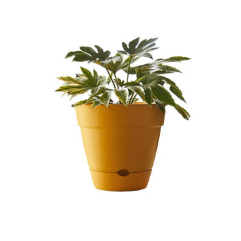 Northcote Pottery Leonard 38x34cmSelf Watering yellow