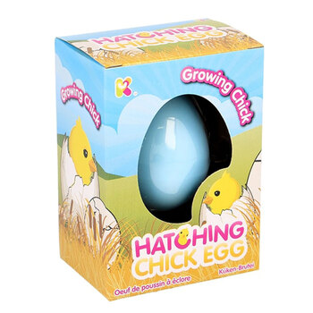 Nurchms Small Chick Hatching Eggs 11cm - Assorted