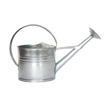 Esschert Design Zinc Metal Watering Can Garden Water Container 8L Silver