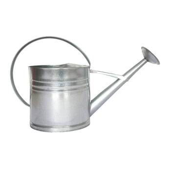 Esschert Design Zinc Metal Watering Can Garden Water Container 10L Silver