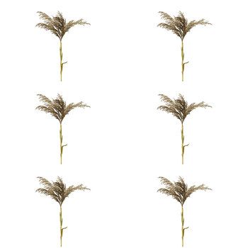 6PK Belle Grey Pampas Spray Stem Home Decor 127cm w/ Leaves