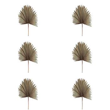 6PK Belle Preserved Palm Leaf Dried Plant Large 114cm - Grey Blue
