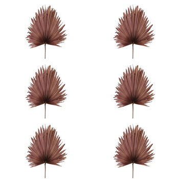 6PK Belle Preserved Palm Leaf Dried Plant Large 114cm - Pink