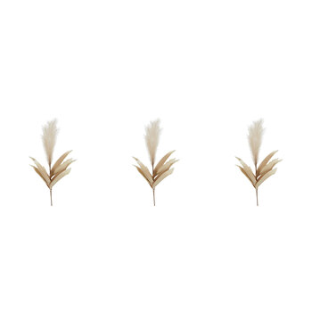 3PK Belle Feather Pampas Stem Home Decorative Plant 87cm Coffee