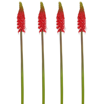 4PK Belle Red Hot Poker Stem 69cm Plastic Artificial Plant