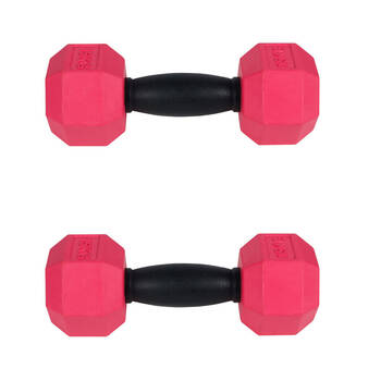 2PK Pro Pet Care Dumbbell Chew Treat Dispenser Dog Toy 18cm Assorted