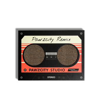 Pawzcity 45cm Cardboard Vintage Tape Cat/Kitten Scratching Board C